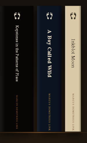 Three books standing spine out on a shelf: Keystones in the Patterns of Place, A Boy Called Wild, and Inkblot Moon, each under Keystone Publications